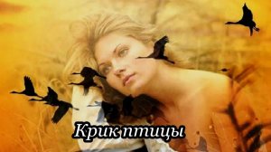Крик птицы