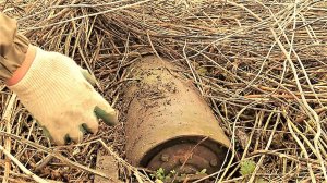 Не поверил, что нашёл некопаное место. Коп металлолома мы здесь первые.