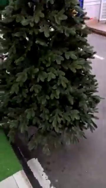 Ёлки палки смотреть онлайн