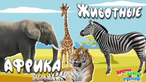 Дикие Животные Африки + Животные в Дикой Природе + Среда обитания Диких Животных АФРИКИ