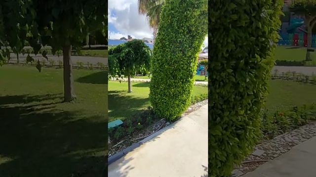 Зелена територія Grand Seker Hotel: фікуси, пальми, банани, троянди... Туреччина / Анталія/ Сіде