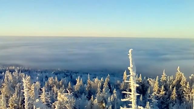 VID 20180116 100310 смотреть онлайн