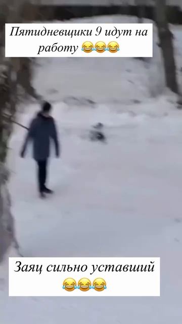 Заяц сильно устал смотреть онлайн