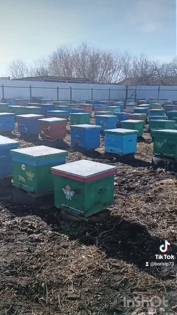 ПЕРВАЯ обълётка 🐝🐝🐝 смотреть онлайн