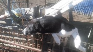 БиМ сериал, 1-5 сезоны