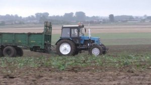 вывоз навоза на поле МТЗ 1221,1222. МАЗ. разбрасывание навоза МТУ-18а также дискование МТЗ 3022