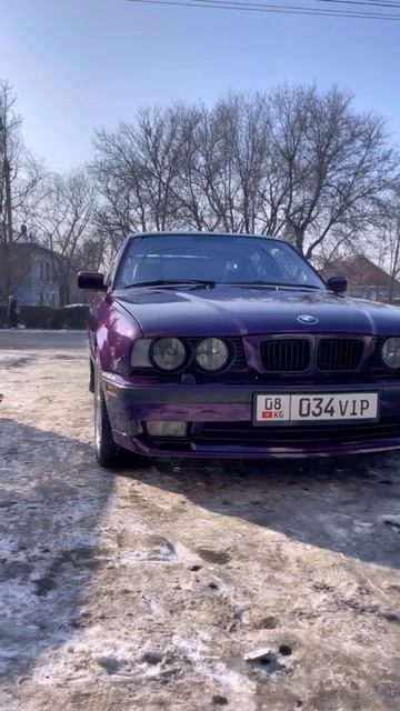 🍓🇩🇪☝️ #рекомендации #shorts #bmw #bmwclassic #e34 #bmwclub смотреть онлайн