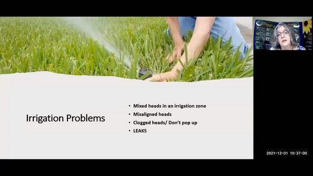 "What Could Go Wrong? Common Landscaping Problems and What Causes Them" смотреть онлайн