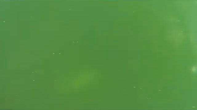северное смотреть онлайн