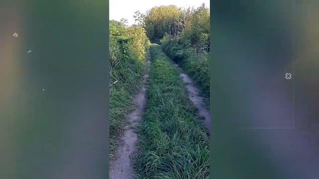 Derya Urkmez-Bana burak sevdayi смотреть онлайн