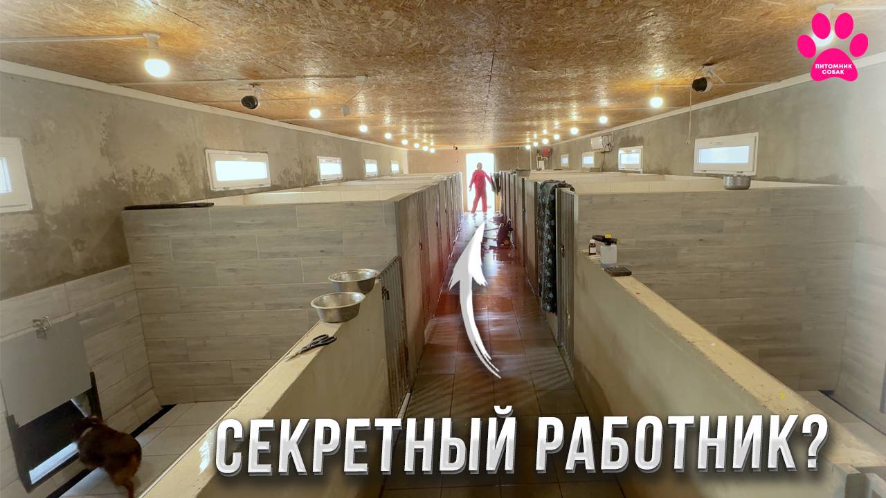 Наняли работника? Кто этот человек, который убирается в двух питомниках? смотреть онлайн