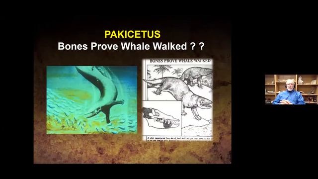 Creation Vs. Evolution Crash Class - Day 2 - Fossils / Dinosaur Evidence!