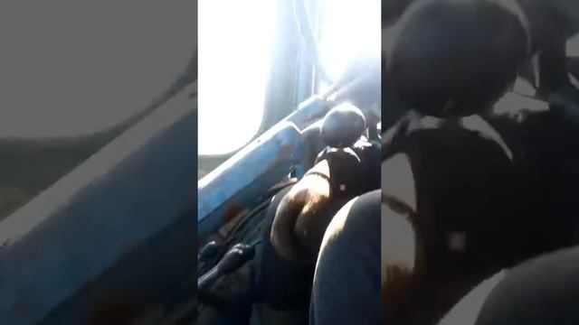 7 октября 2017 г. смотреть онлайн