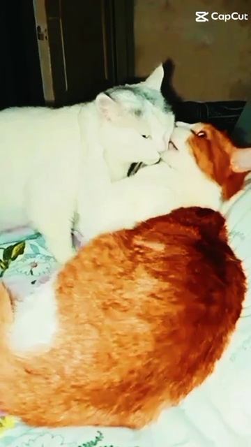 обнимашки 😍☺️🥰