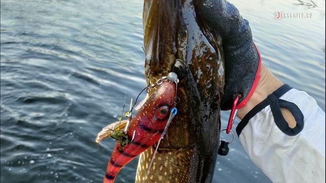 Резвая Щука на Gator Gum 22см смотреть онлайн