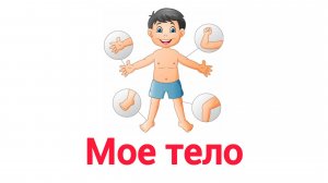 УЧИМ Мое тело для детей развивающие мультики познавательное обучающее видео для малышей на русском