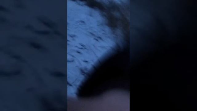 Ахахпхах я хотел снять классное видео но поскользнулся и упал😂😂😂. Всех с праздниками🥳 29.12.21 смотреть онлайн