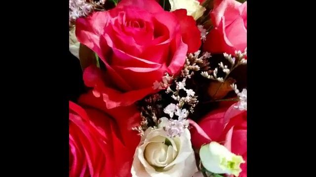 Очень прекрасная музыка, скрипка и прелестные цветы..mp4 смотреть онлайн