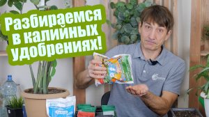 Калийные удобрения: зачем они нужны и как выбрать! Все об удобрениях с калием!