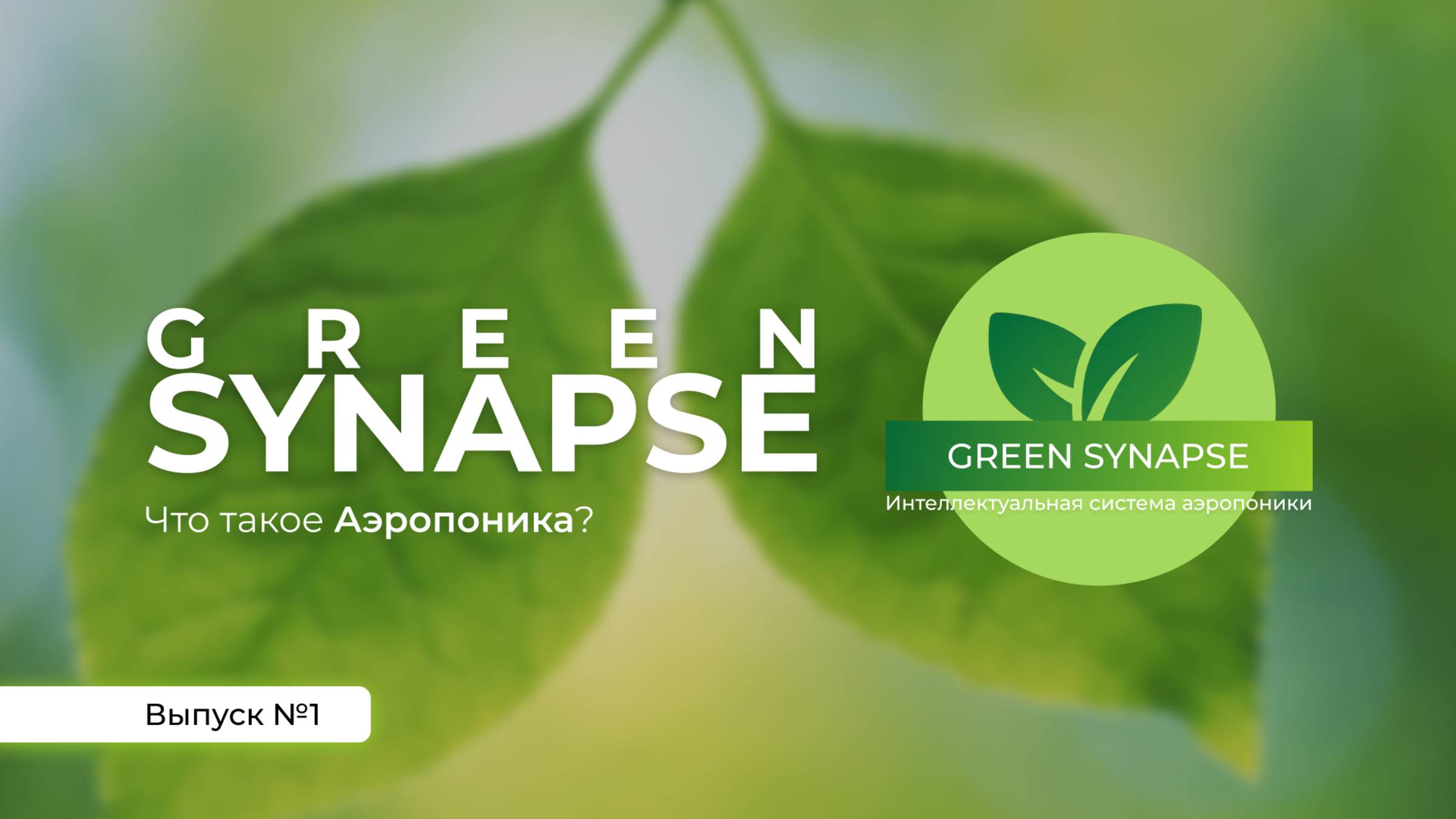 GREEN SYNAPSE - что это? смотреть онлайн