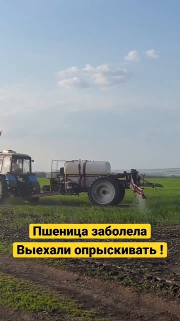 Работа в поле продолжается 🌾 #сельскоехозяйство #shortsvideo #деревня #трактор #опрыскиватель смотреть онлайн