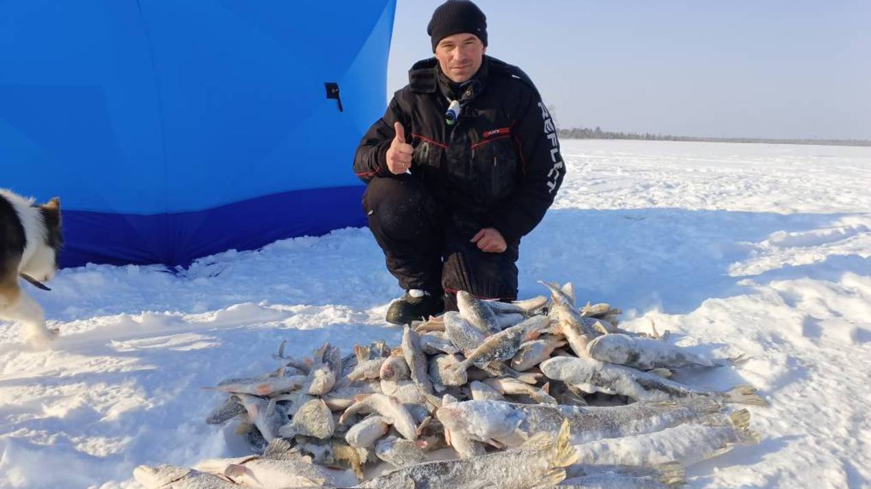 ДВА ДНЯ НА ОЗЕРЕ.ОКУНЬ И ЩУКА.ДЕНЬ ПЕРВЫЙ смотреть онлайн