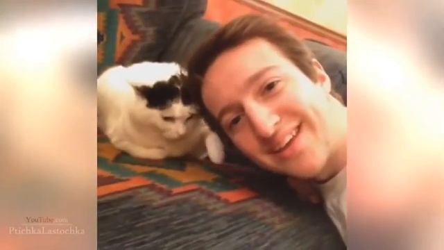 Селфи с котом😂 смотреть онлайн