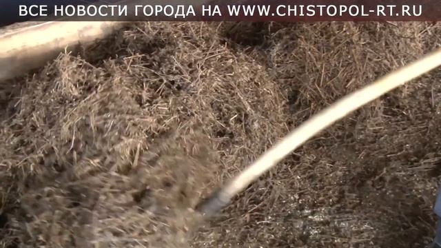 Фермерство не разочаровало: Фарит Загидуллин выращивает молочных коров