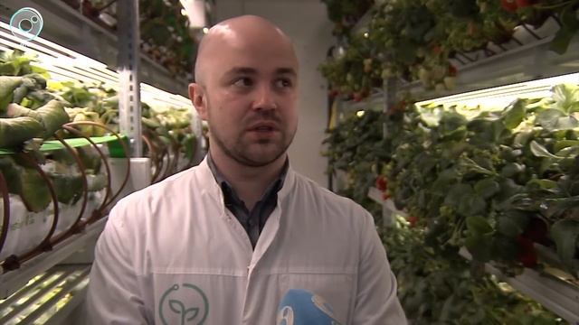 НОВОСТИ УТРА | 26 апреля 2021 | Новости Новосибирской области смотреть онлайн