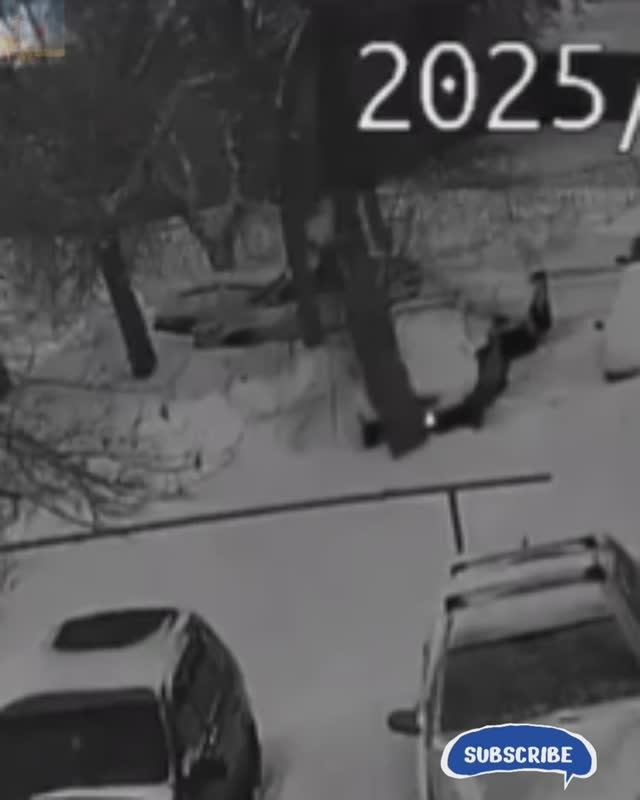 На парковке провалился под землю автомобиль вместе с деревом🤔 смотреть онлайн