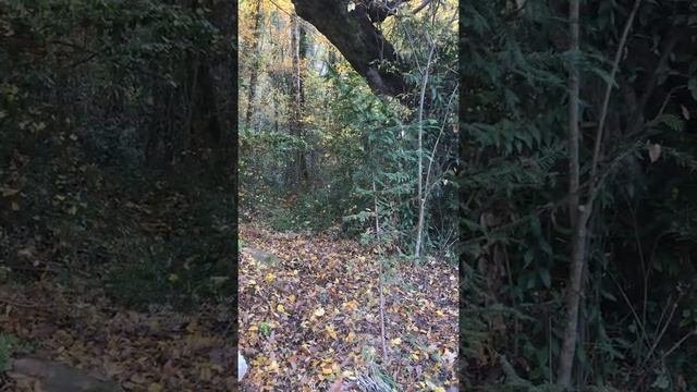 Земельный Участок 6.8 сот. (СНТ, ДНП) Сочи Продажа.