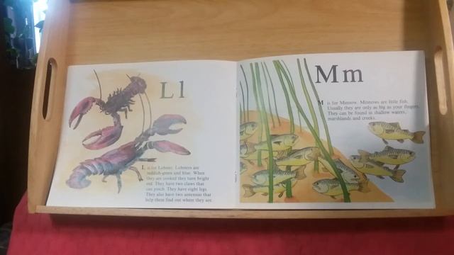 The Ocean Alphabet