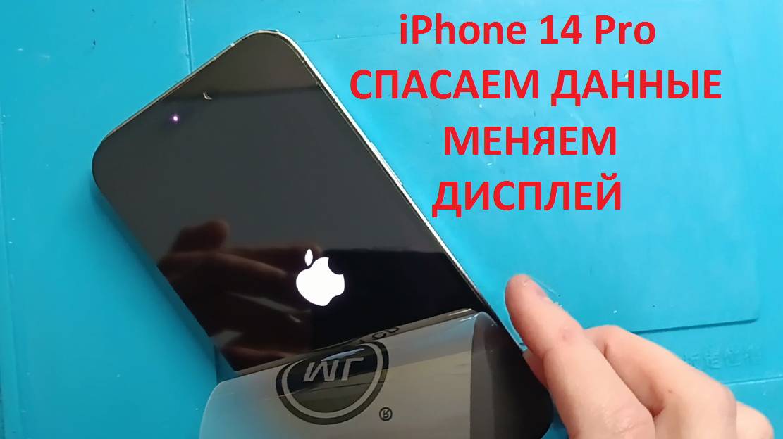 IPhone 14 Pro спасаем данные, замена дисплея.