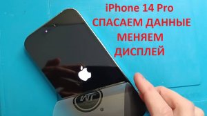 iPhone 14 Pro спасаем данные, замена дисплея.