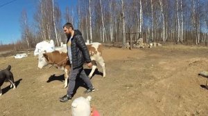 ПРОЩАНИЕ И ВСТРЕЧА / ХУТОР ЗАГАЙКИ