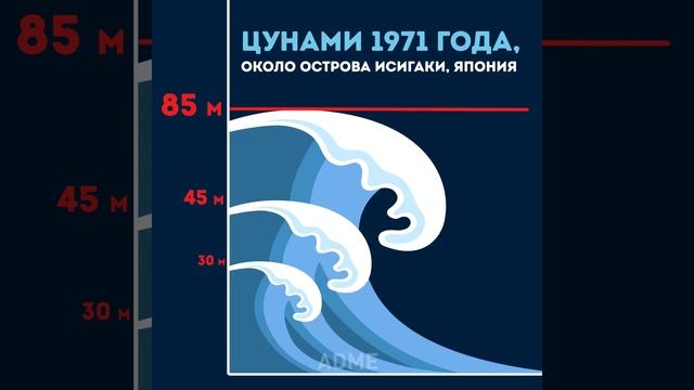 Цунами одна из смых опасных сил природы смотреть онлайн