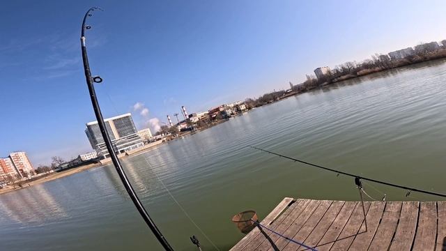 Рыбалка на Кубани, донный монтаж на толстолоба. 08.03.25. смотреть онлайн