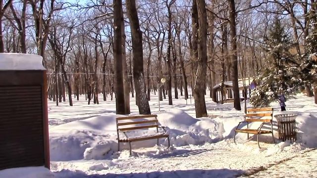 Загородный парк 09 03 2018 смотреть онлайн