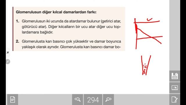 Biyoloji - Üriner Sistemi смотреть онлайн