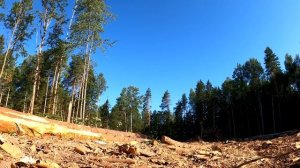 ОДИН вывез ДВА ЛЕСОВОЗА на МТЗ 82.1