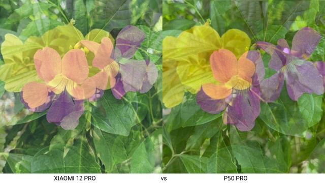 Xiaomi 12 Pro vs Huawei P50 Pro Camera Test смотреть онлайн