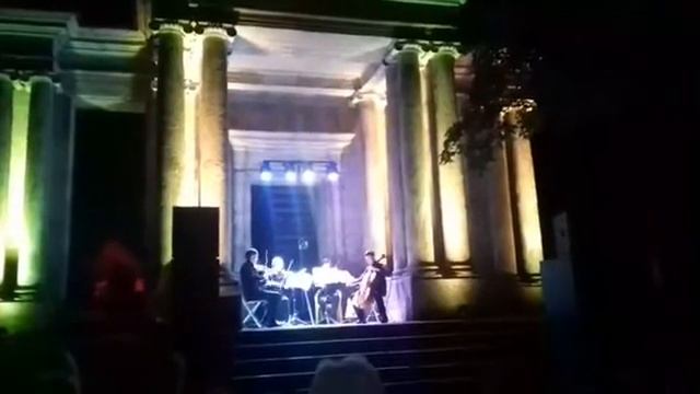 Симфонический оркестр в Гатчине смотреть онлайн