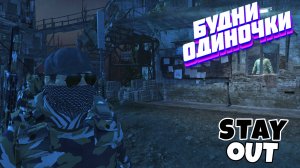 🔴Чип для Вани Ада⚡Сталкер онлайн⚡StayOut⚡Steam EU-1