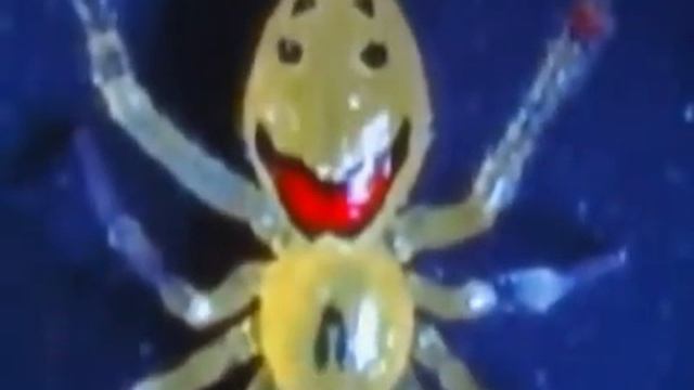Happy Spider: Theridion grallator смотреть онлайн