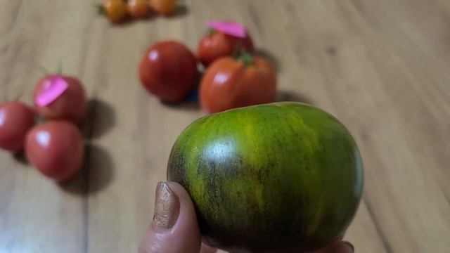 Красотульки мои в разрезе. 10 августа ( Продаю семена томатов ) смотреть онлайн