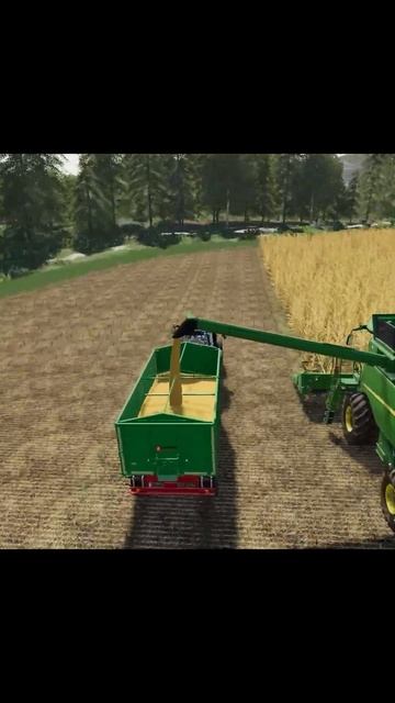 Убираем кукурузу в FS 19| #shorts #fs19 #farmingsimulator19 #farmingsimulator #tractor #трактор смотреть онлайн