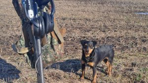 Жирный коп с EQUINOX 700