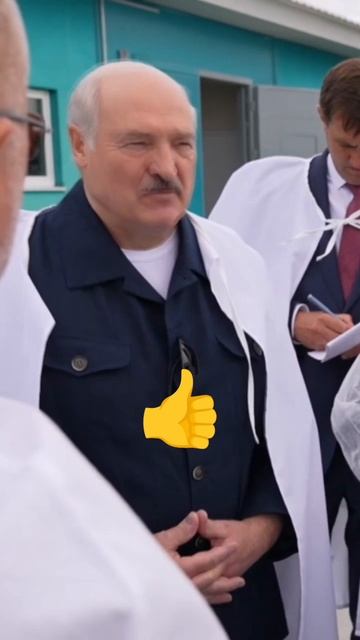 Лукашенко🔥ЗА ВОЛОКИТУ ОТВЕТИТЕ! ПРЕКРАТИТЕ БЮРОКРАТИЮ! смотреть онлайн