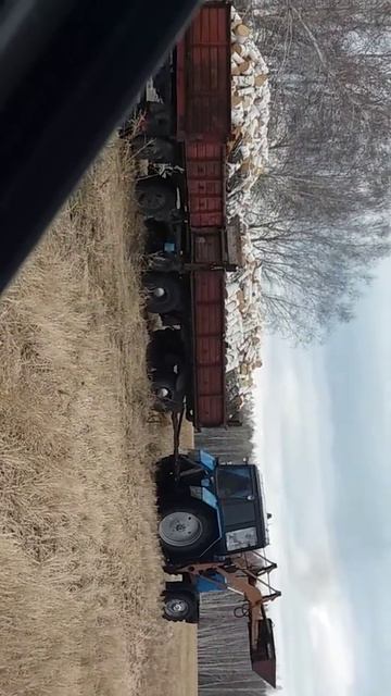 Мтз 82.1 возим дрова смотреть онлайн