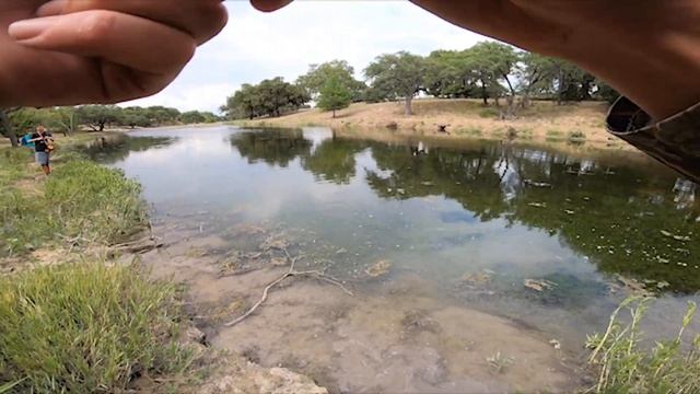 Fishing Tiny Hidden Creek For Huge Bass + Extremely Cute Puppies!! смотреть онлайн
